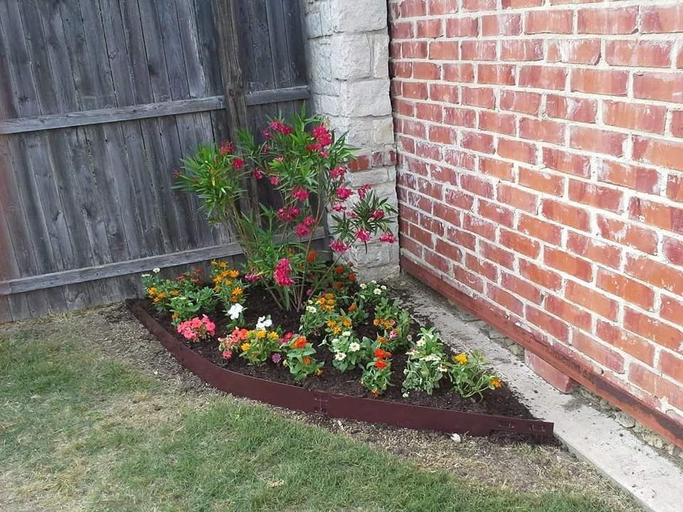 Small garden bed with red flowers beside a brick wall and wooden fence