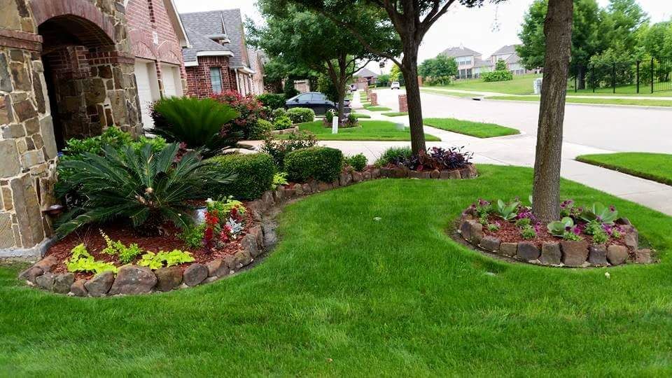 Lush front yard landscaping with curved flower beds, green lawn, and a tree along a suburban street.