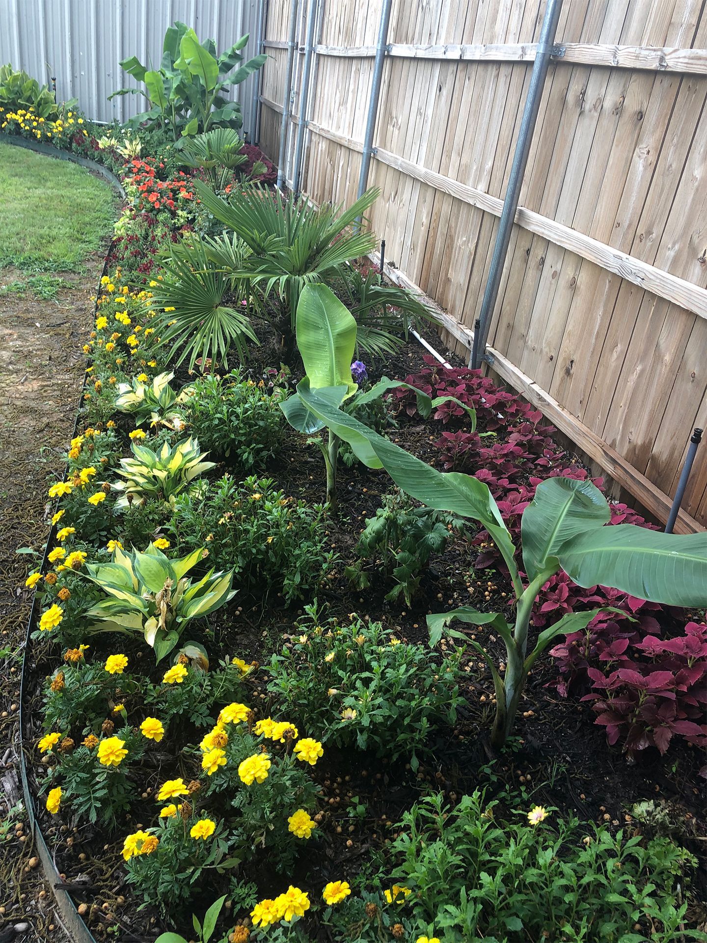 Colorful flower bed with yellow and pink blooms along a wooden fence in a backyard