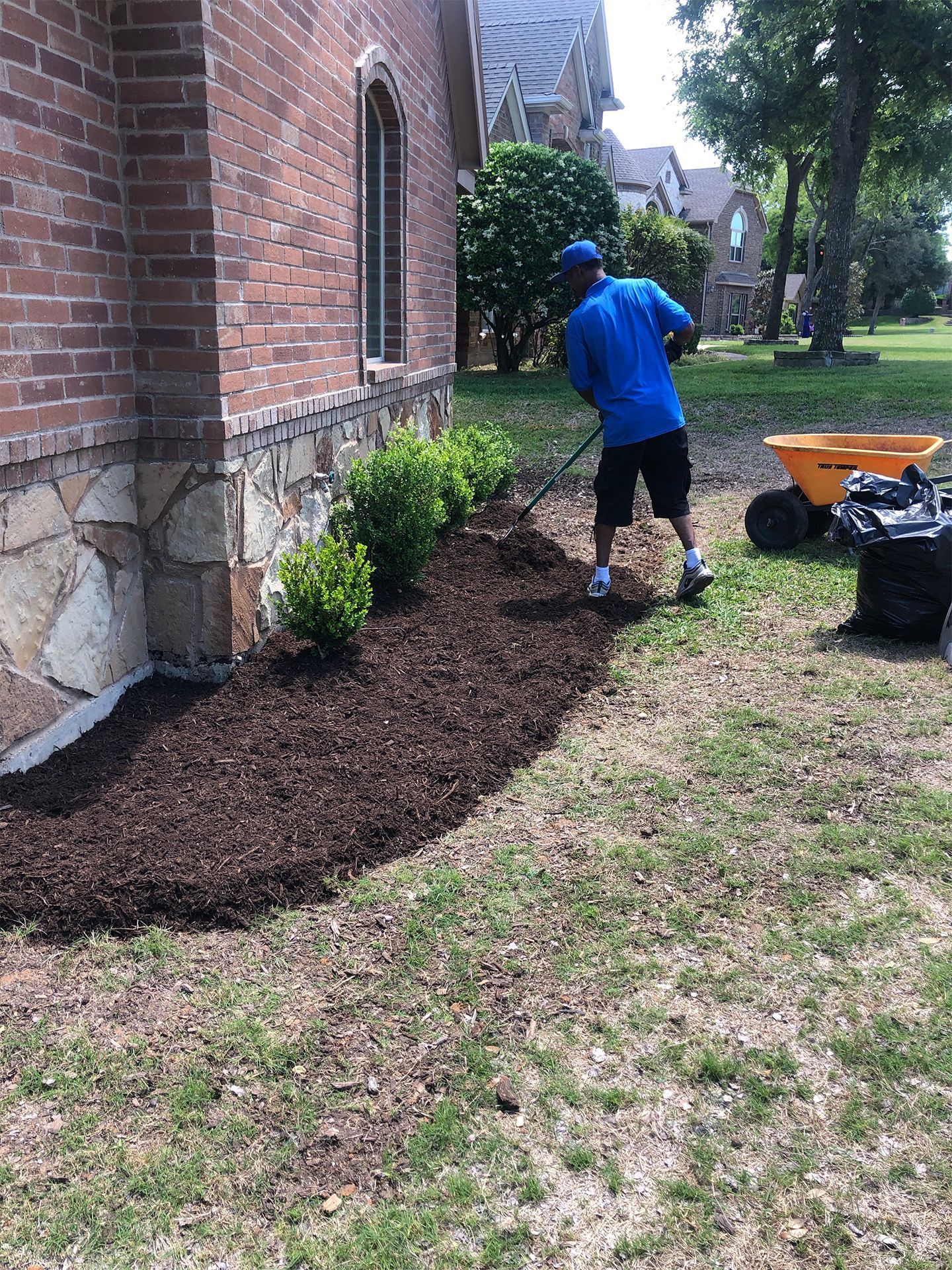 Worker spreading mulch beside a brick house with a wheelbarrow in a yard