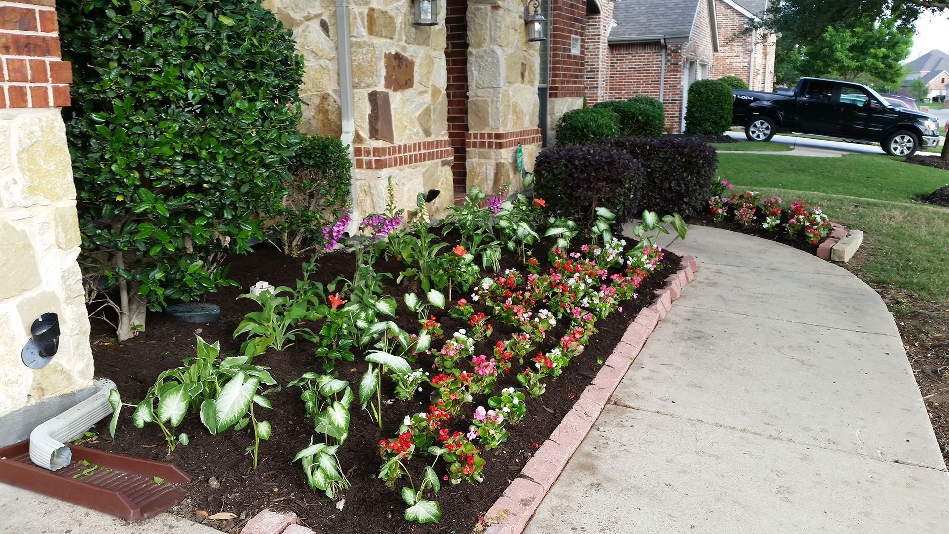 Flower bed of colorful blooms along a curved sidewalk beside a stone building and parked car