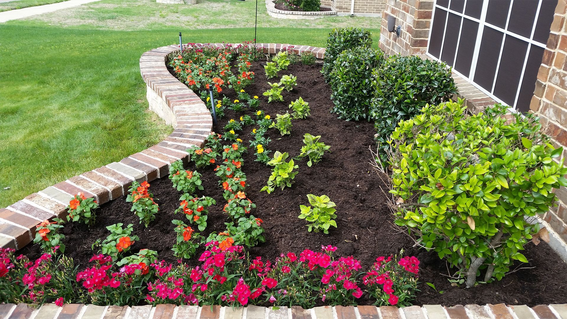 Curved flower bed with colorful blooming plants and shrubs beside a brick house and lawn
