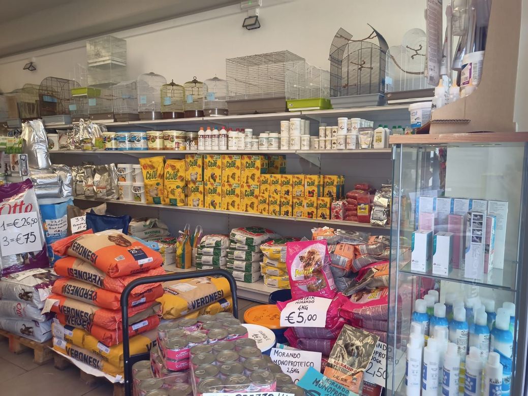 Scaffale di un minimarket con snack, prodotti confezionati, bevande in bottiglia e cartelli promozionali.
