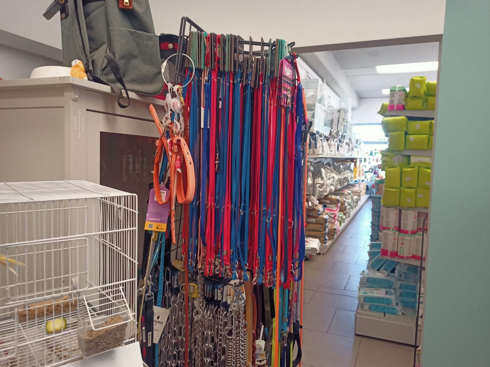 Corridoio di un negozio di animali con guinzagli e accessori appesi, oltre a gabbie e scatole verdi impilate.