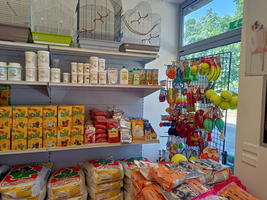 Un piccolo scaffale da negozio con snack confezionati, barattoli e giocattoli colorati vicino a una finestra