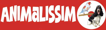 Logo Animalissimo su sfondo rosso con testo bianco e un cagnolino in un cerchio.
