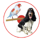 Un uccello bianco appollaiato accanto a un cane bianco e nero all'interno di un cerchio rosso.