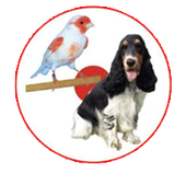 Un uccello bianco appollaiato accanto a un cane bianco e nero all'interno di un cerchio rosso.
