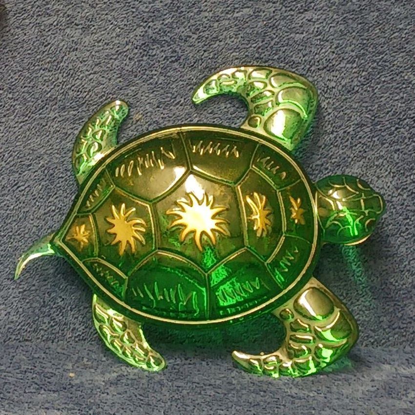 A green turtle with gold stars on its shell