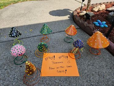 A bunch of mushrooms are sitting on the sidewalk next to a sign