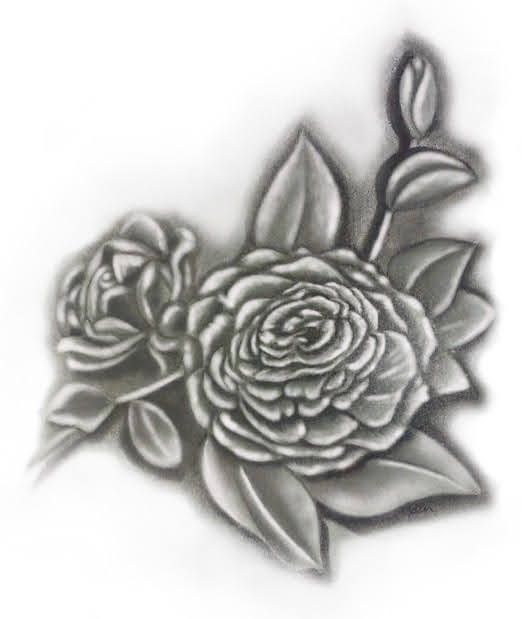 A black and white drawing of a flower with leaves