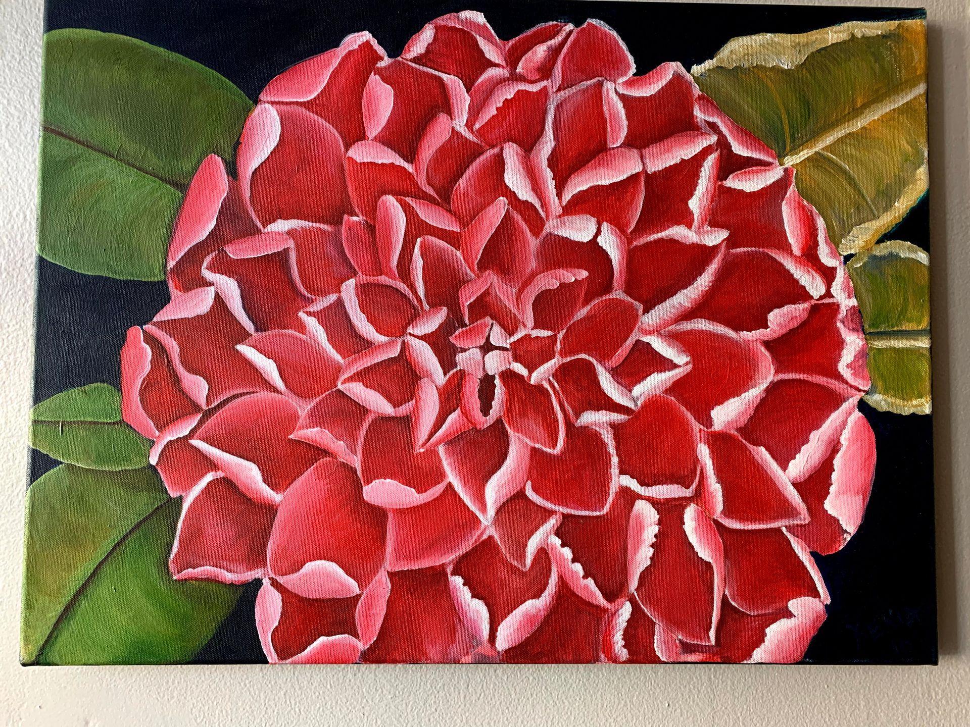 A painting of a red flower on a black background