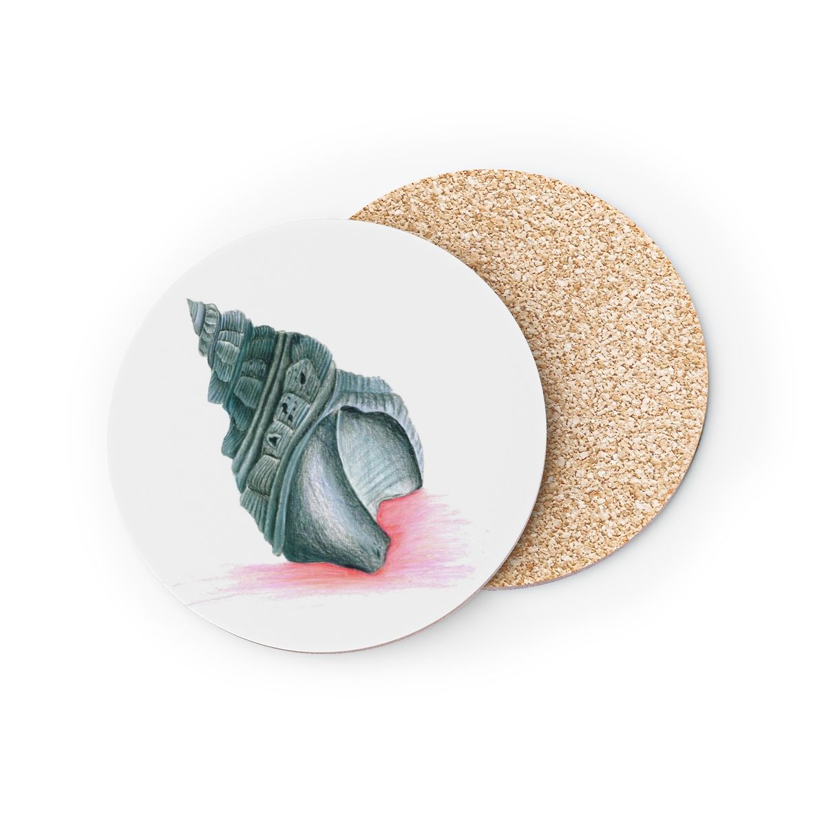 Two coasters with a picture of a sea shell on them