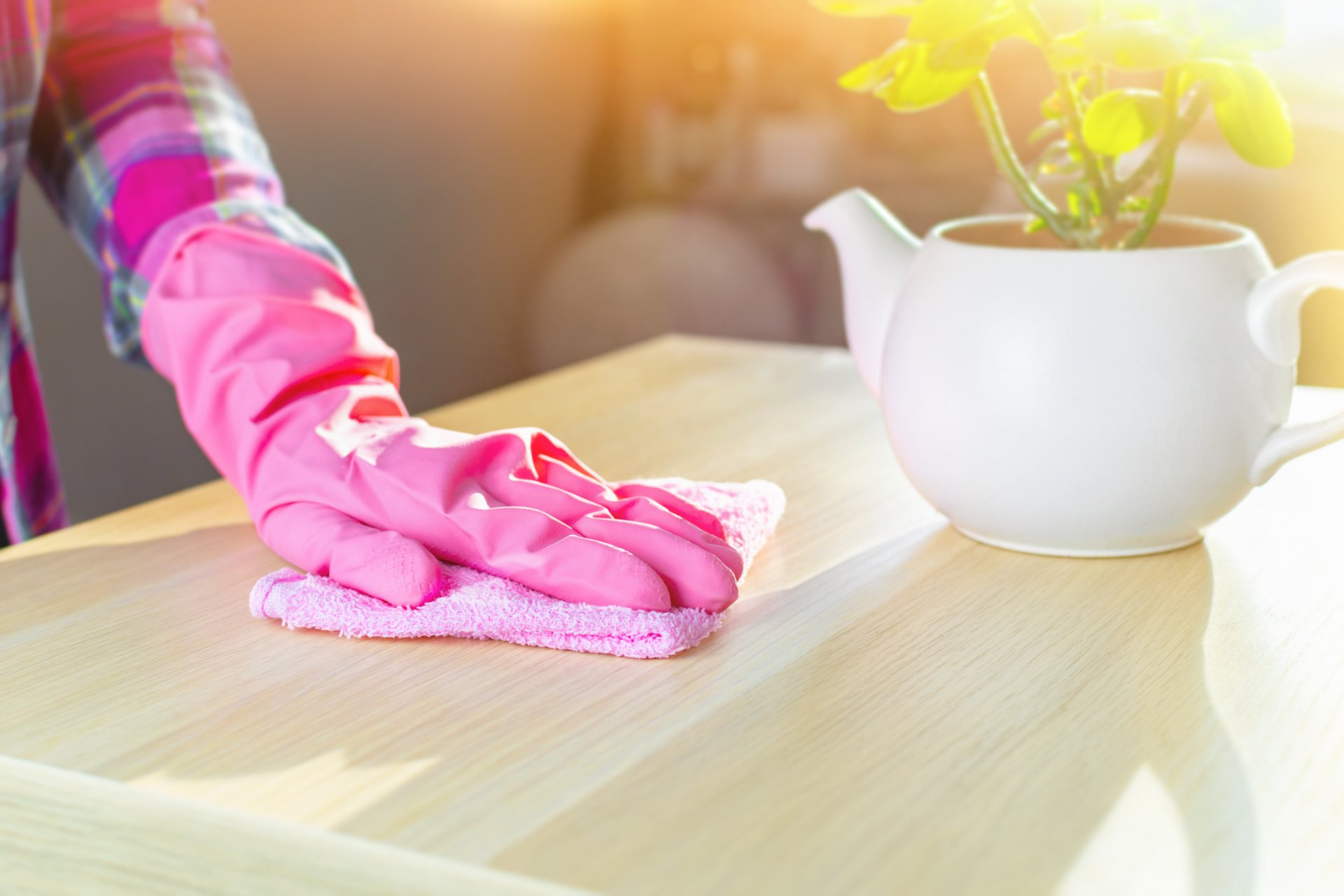 Professional Cleaning Sacramento, CA EZ Living Cleaning, LLC