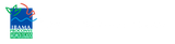 Logotipo de homologação IBAMA PROCONVE: um quadrado azul com linhas abstratas verdes e laranjas acima do texto.
