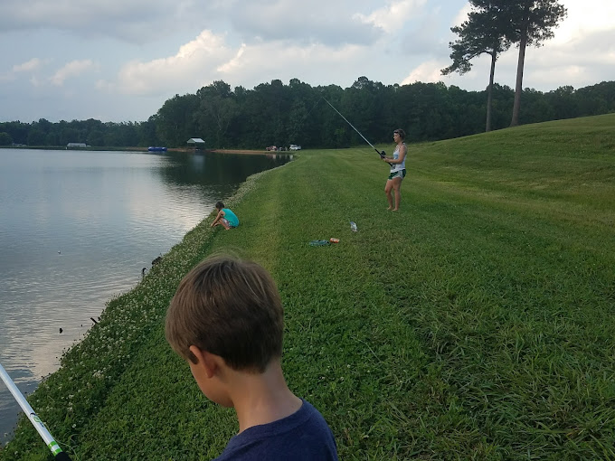 Shark Tooth Creek Aliceville, AL 2053732605