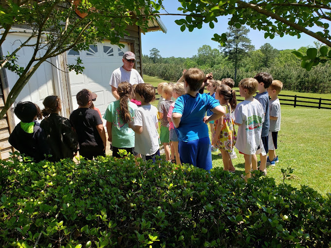 Shark Tooth Creek Aliceville, AL 2053732605