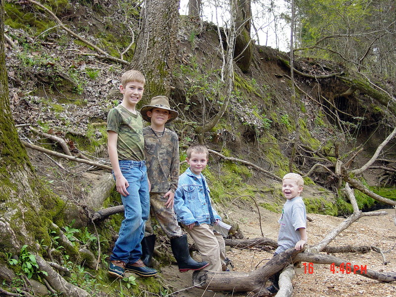 Fossil Finding