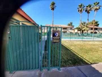 A green gate leading to a swimming pool with palm trees in the background.