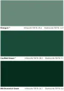 Green Palette
