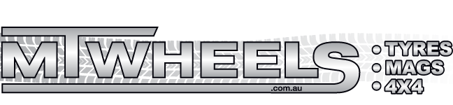 Logo Footer