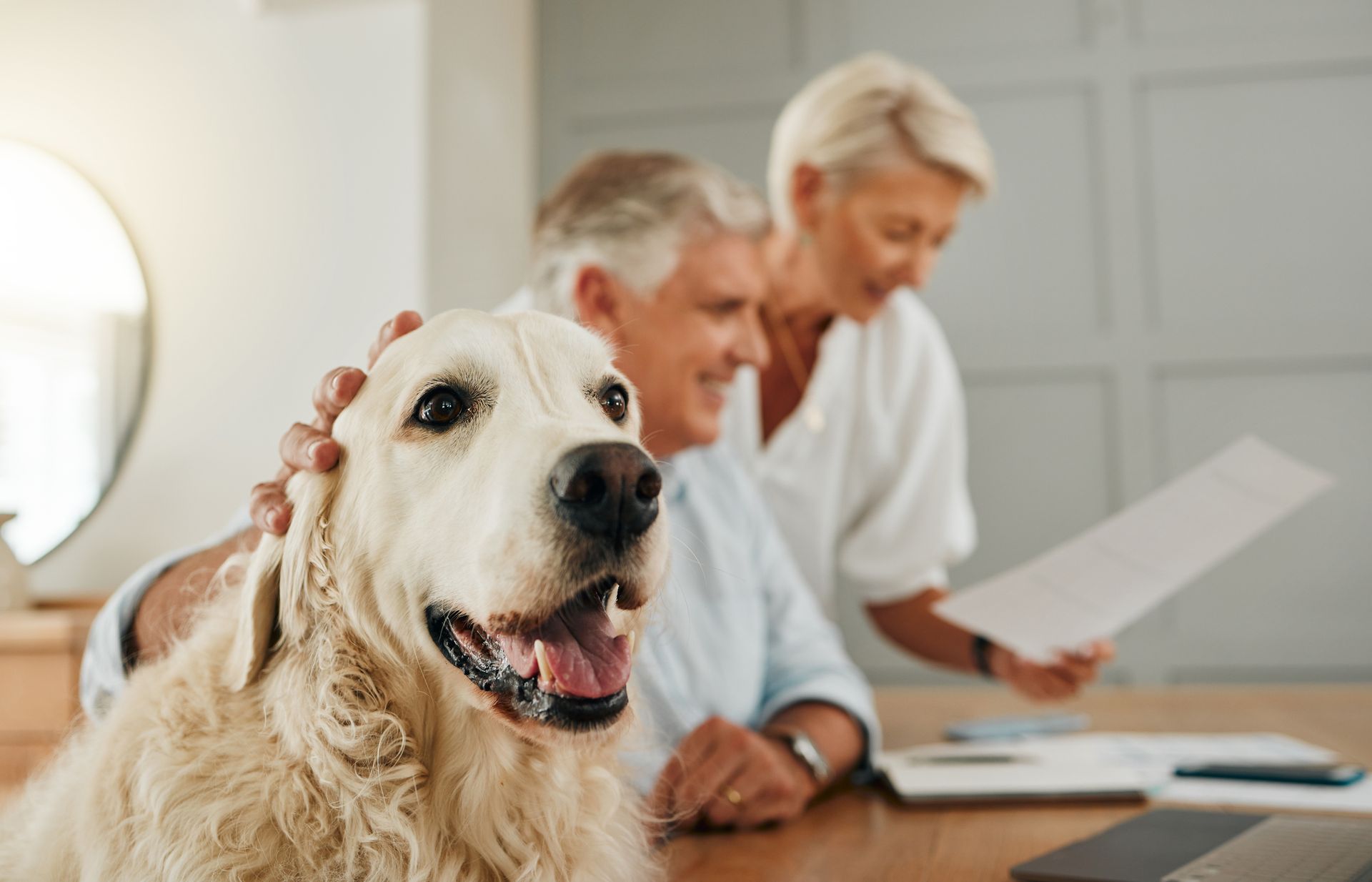 An elderly couple is sitting at a table with a dog.