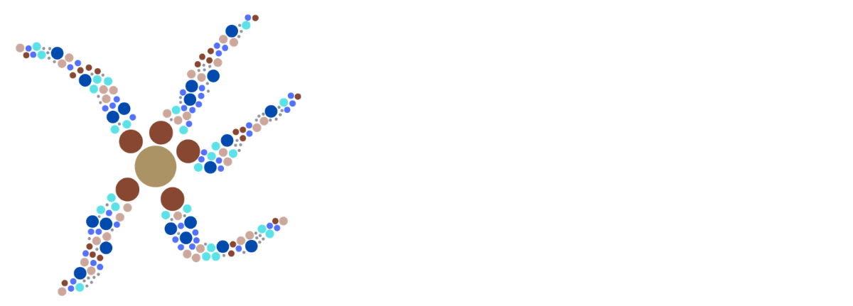 A white background with a geometric pattern on it.