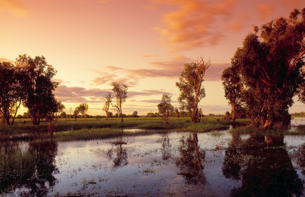 A Swamp With Trees and a Sunset in the Background — NT Driver Guide - Escorted Tours & Transfers in Darwin City, NT