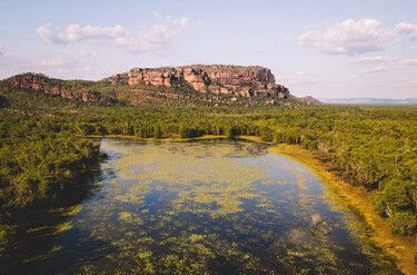 Aerial View of Lush Green Wetlands With a Rocky Plateau in the Background — NT Driver Guide - Escorted Touring & Transfers in Darwin City, NT