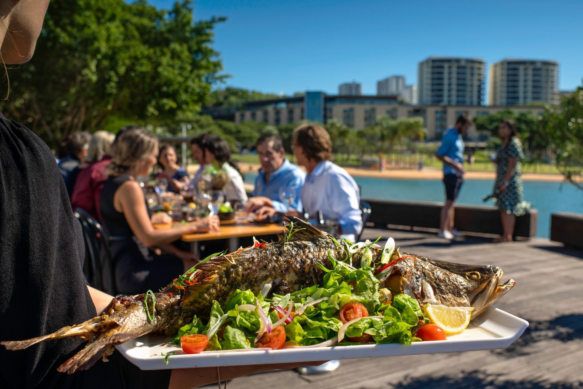 A Server Holds a Platter of Grilled Fish Garnished With Greens and Cherry Tomatoes — NT Driver Guide - Escorted Touring & Transfers in Darwin City, NT