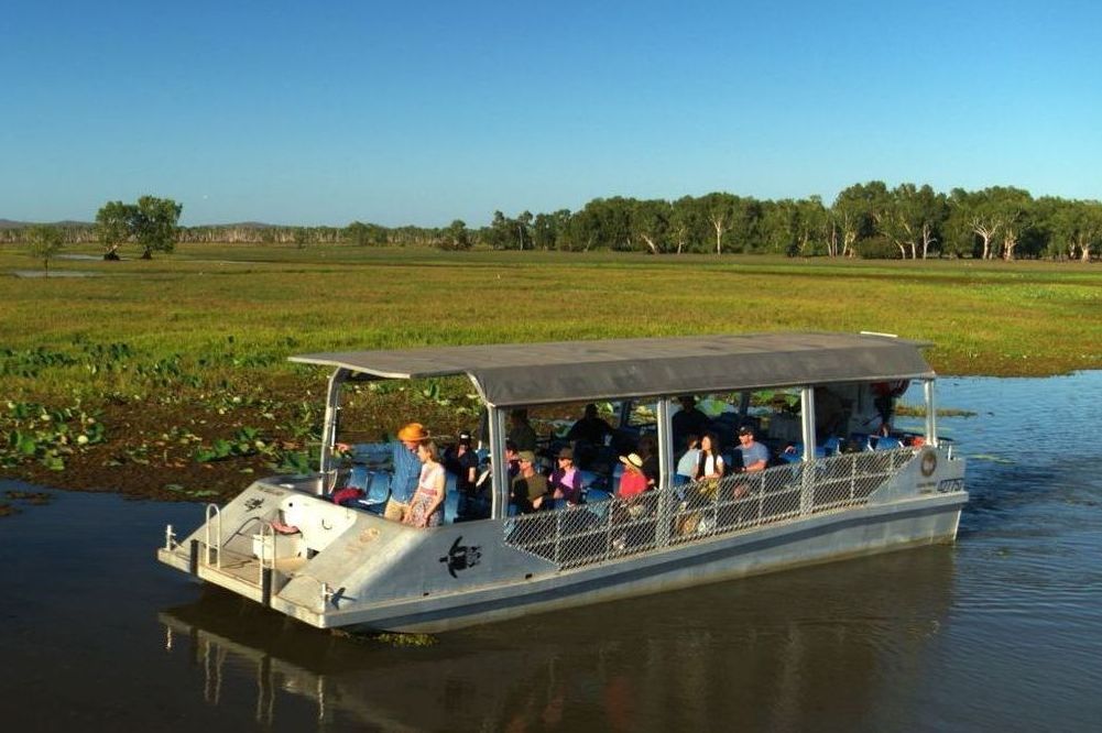A Boat With Passengers Glides Through a Lush, Green Marshland Under a Clear Blue Sky — NT Driver Guide - Escorted Touring & Transfers in Darwin City, NT
