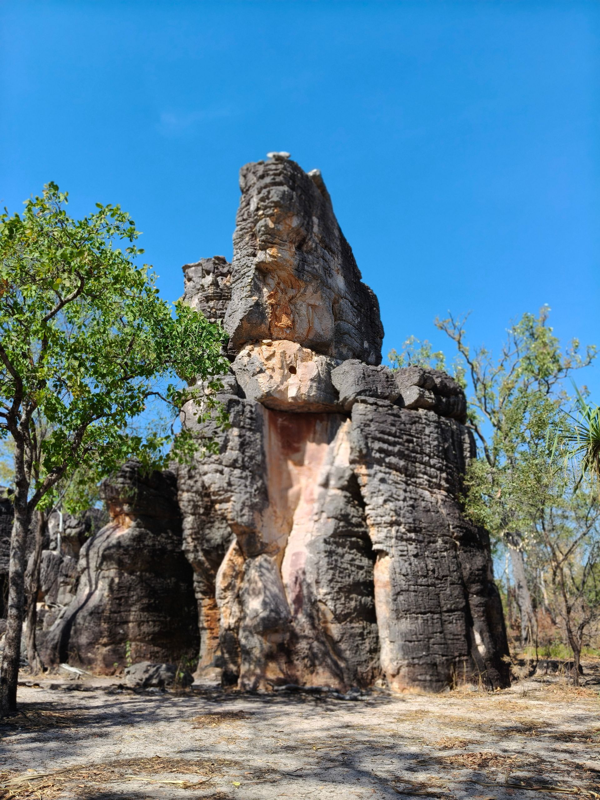 Weathered rock formations against a clear blue sky, with some surrounding trees — NT Driver Guide - Escorted Tours & Transfers in Darwin City, NT