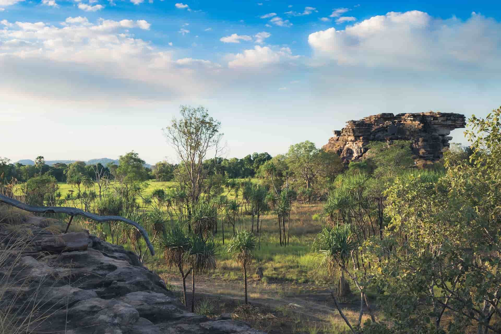 Lush Green Landscape With Scattered Palm Trees and a Rocky Outcrop Under a Blue Sky — NT Driver Guide - Escorted Touring & Transfers in Darwin City, NT