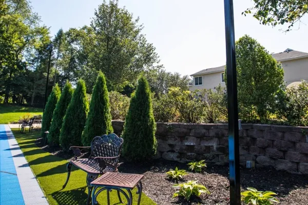 signs you need tree installation and transplanting in melville ny