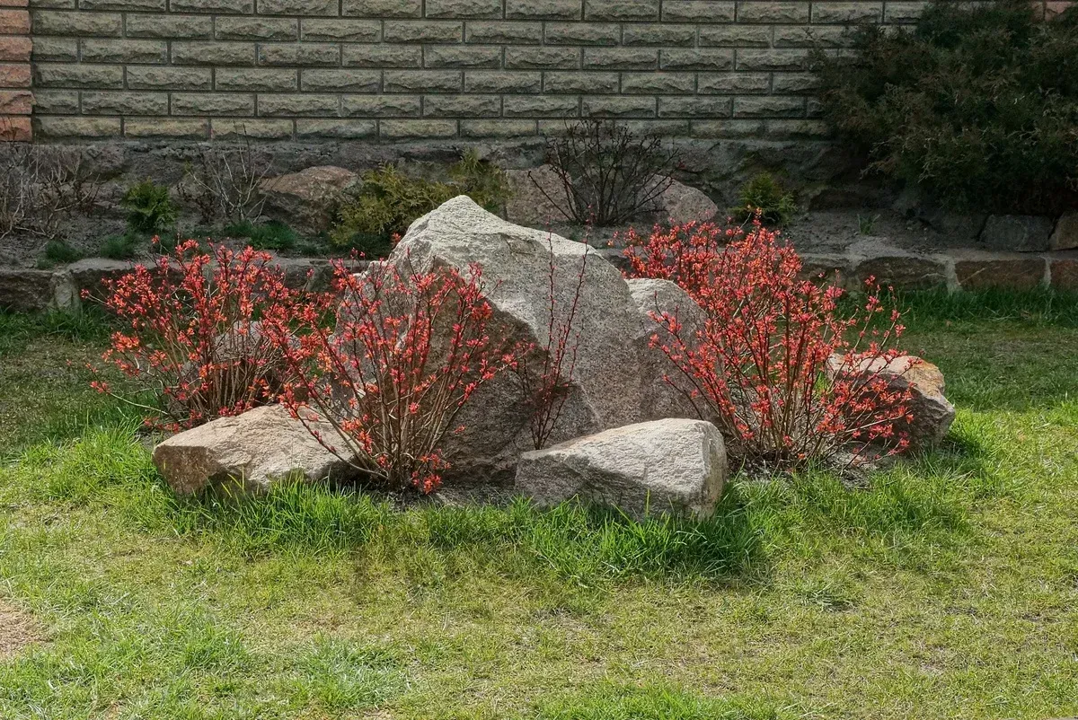 decorative boulder delivery and placement in melville ny