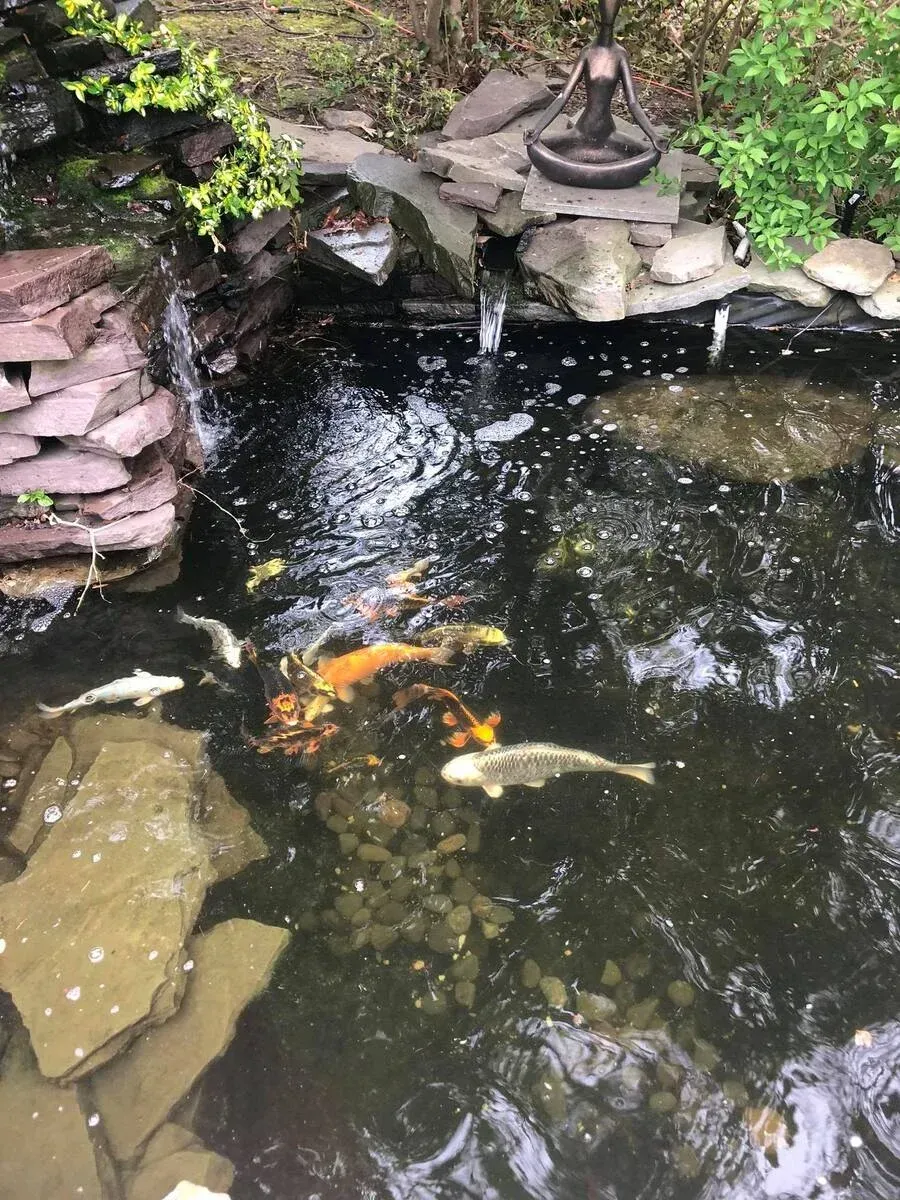koi pond installation in melville ny