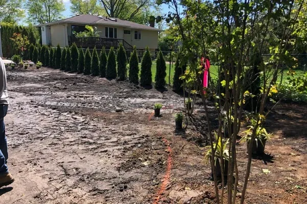 landscaping services cold spring harbor ny