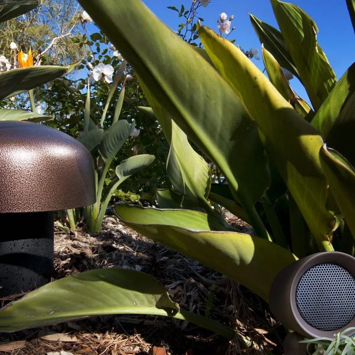 professional landscape audio installation process in melville ny