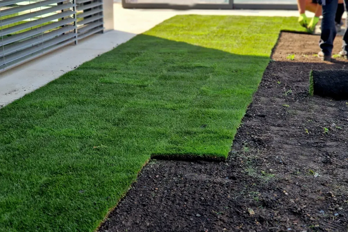 artificial turf vs natural grass long island