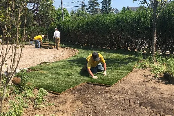 professional sod installation services in melville ny