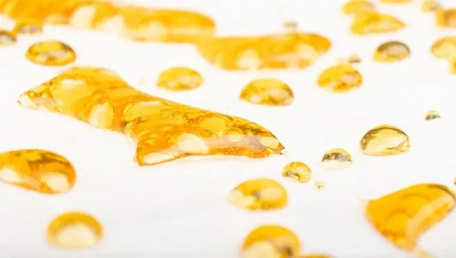 Golden thick cannabis oil is used in making weed sun rocks.