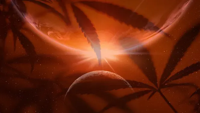 A sun and moon in a gassy orange atmosphere with cannabis leaf overlays.