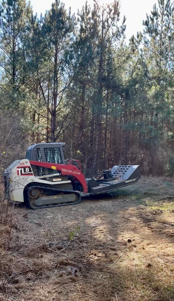Tree branches and leaf rake in yard. Lawncare, lawn cleaning and branch pickup concept