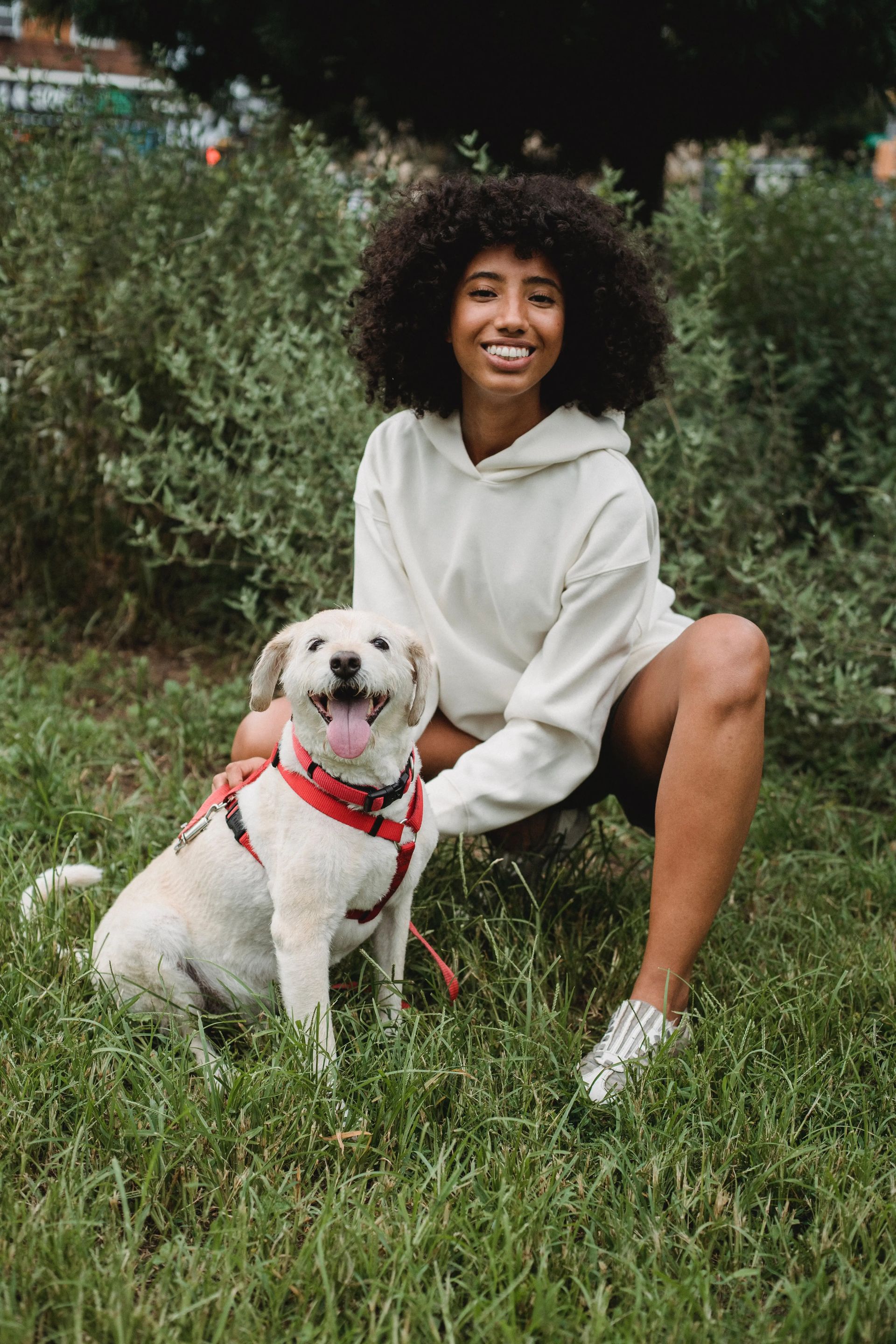 Woman and Dog on Grass