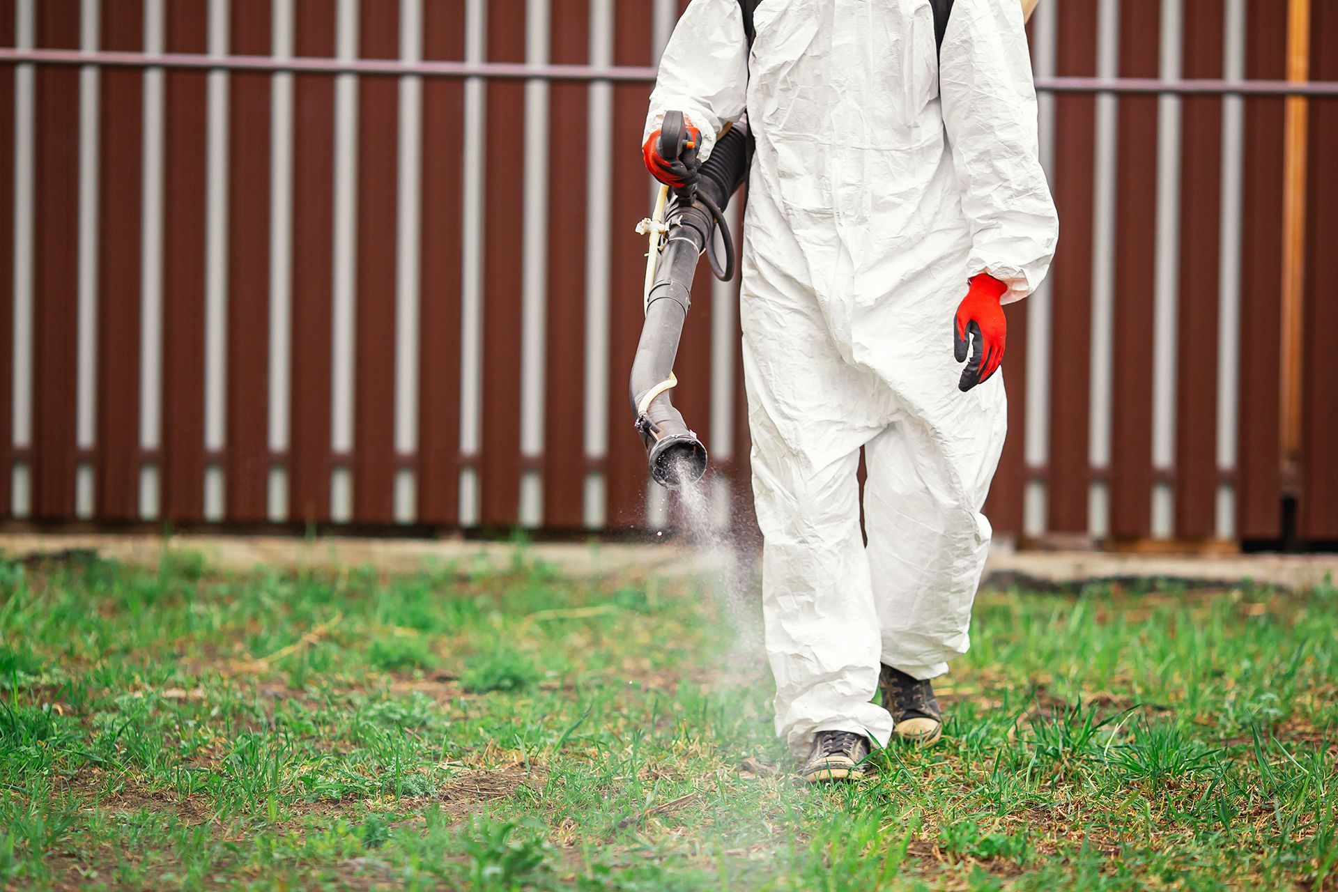 Spraying Pesticide on Lawn
