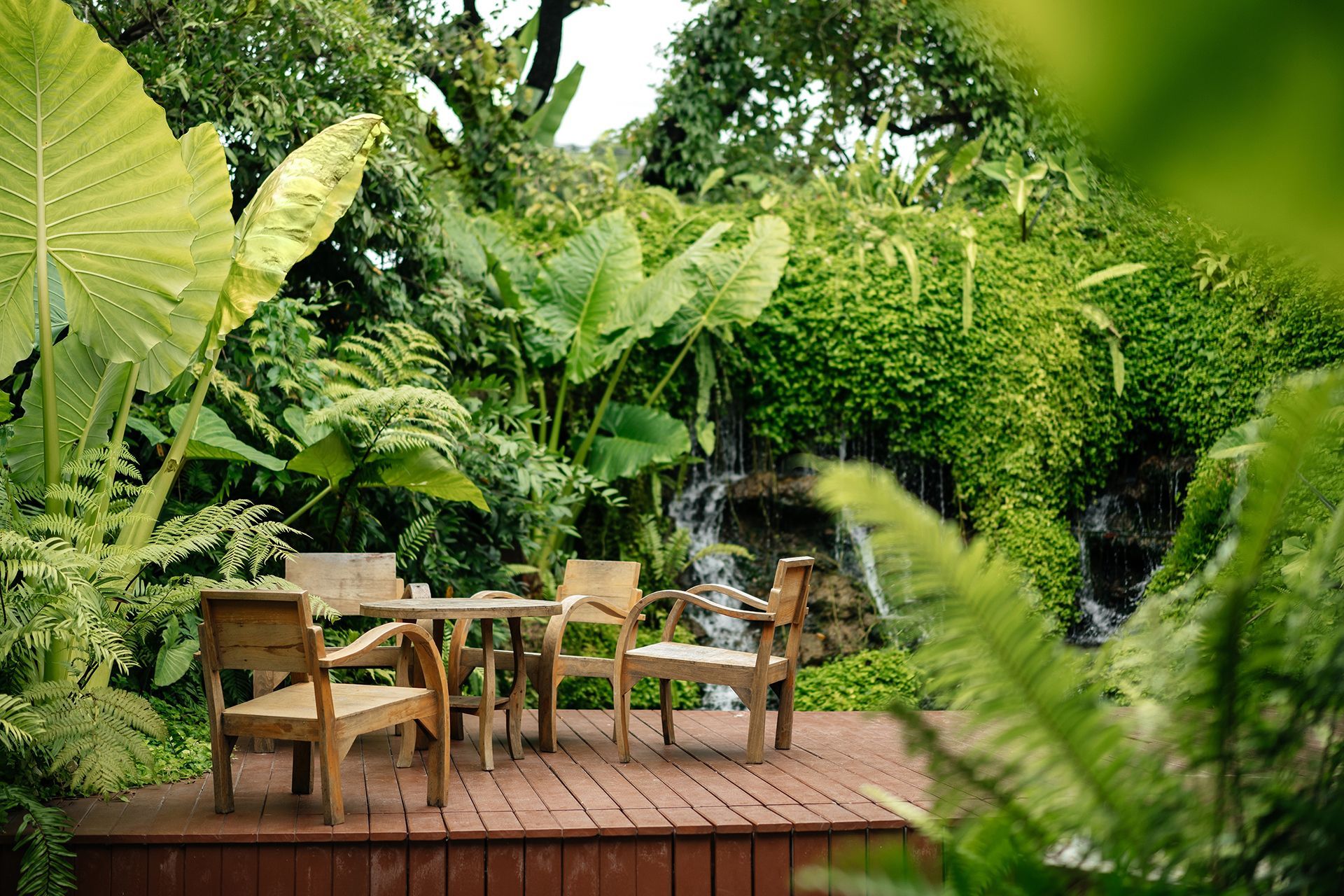 Deck with Plants Around
