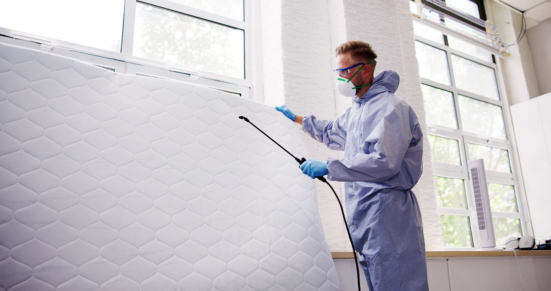 Spraying Pesticide on Mattress