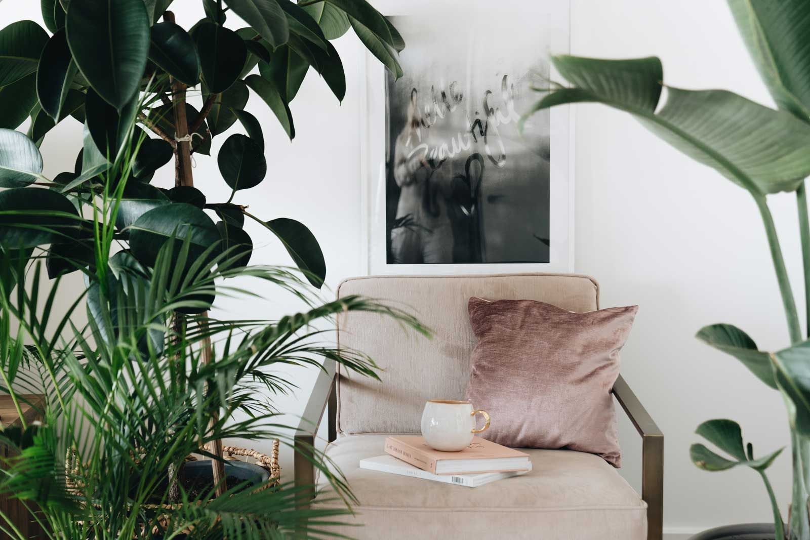 Koselig beige stol ved store grønne stueplanter i et lyst, moderne rom