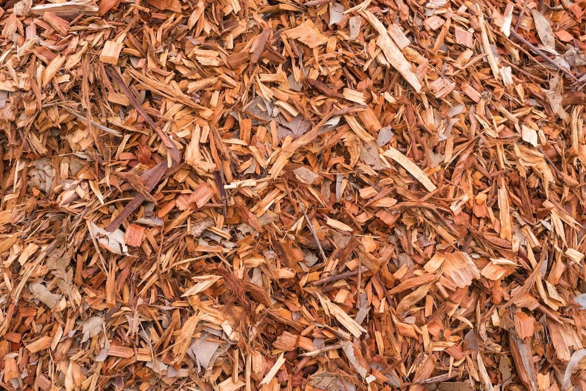 Why Tree Removal & Arborist Services Are Crucial for Safe Land Development & Site Remediation