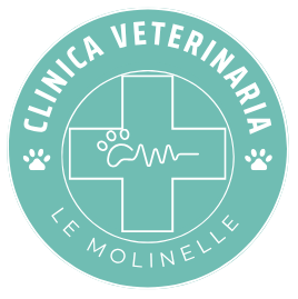 Logo della clinica verde acqua e bianco: croce con impronta di zampa e battito cardiaco;